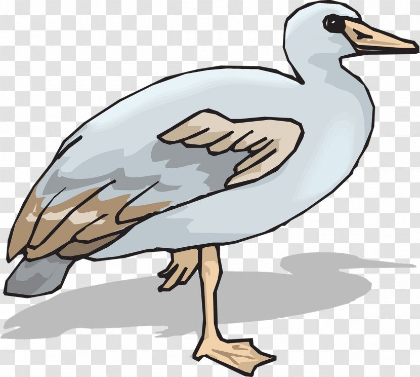 Goose Clip Art Cygnini Duck - Seabird Transparent PNG