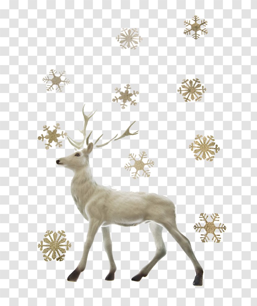 Reindeer Santa Claus Christmas - Deer - With Snow Effect Transparent PNG