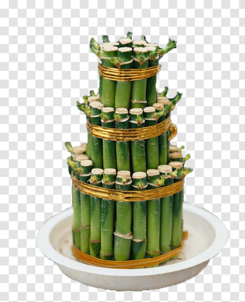 Lucky Bamboo China Chinese New Year Plant - Dessert - In Kind Transparent PNG
