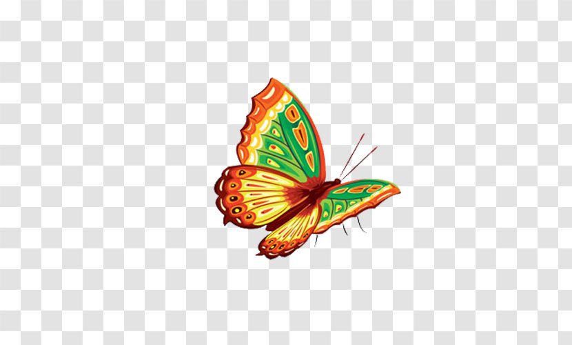 Butterfly Color Clip Art - Wing Transparent PNG