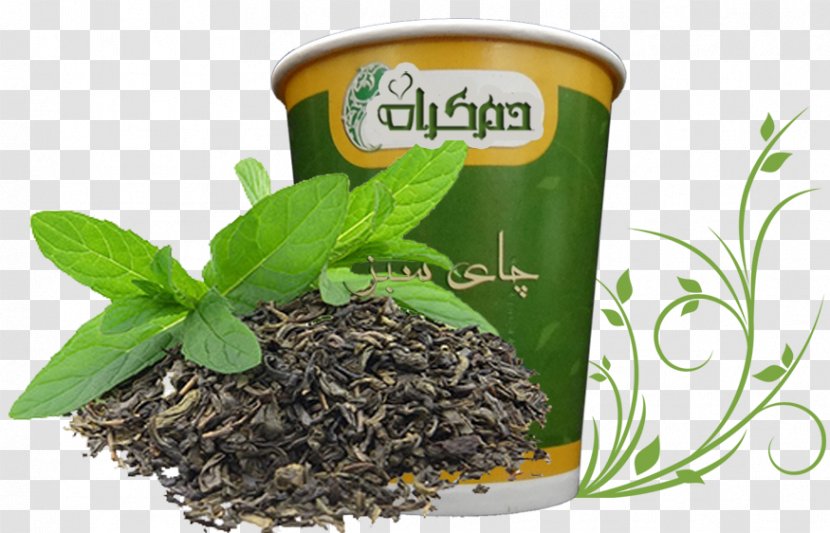 Green Tea Matcha English Breakfast Ceylon - Herbal - End Portal Transparent PNG