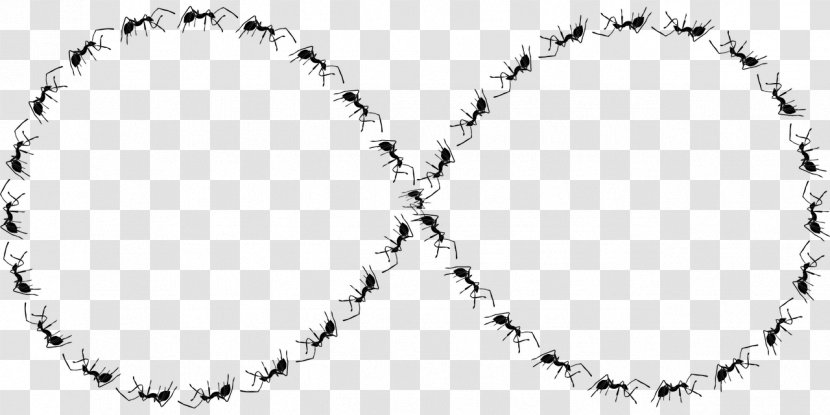Ant Icon - Monochrome Photography - Ants Surround Transparent PNG