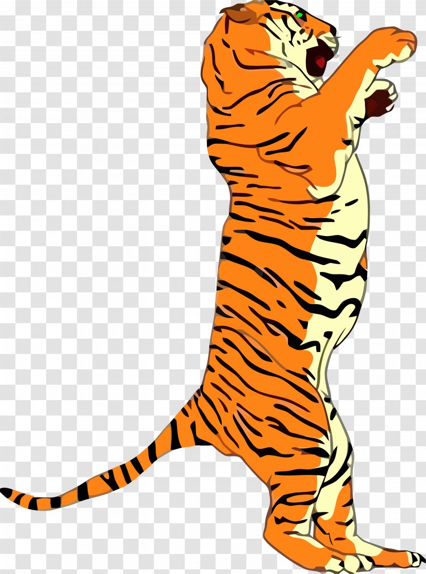 Cat Vector Graphics Stock Photography Royalty-free Bengal Tiger - Terrestrial Animal Transparent PNG