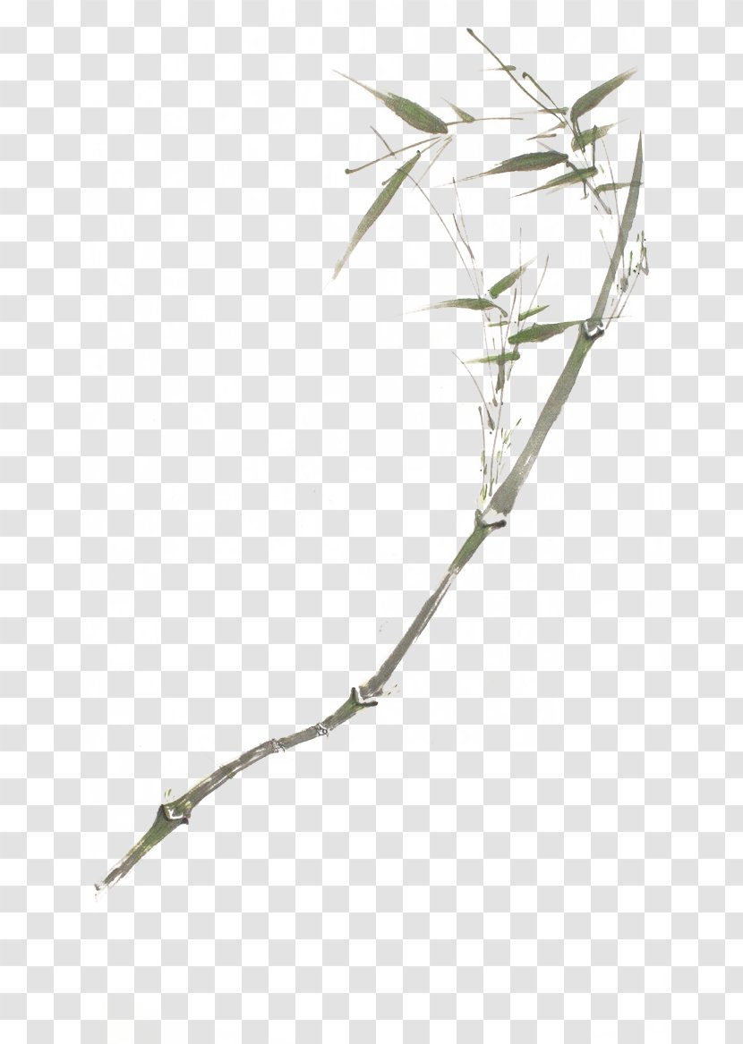 Chinese Painting Painter Gongbi Art - Plant - Hand-painted Bamboo Transparent PNG