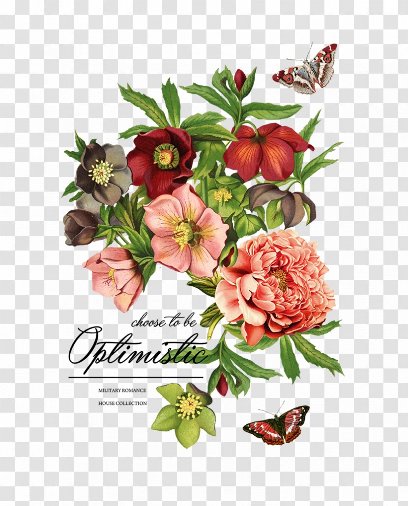 Botanical Illustration Botany Art Paxton's Flower Garden - Floral Background Transparent PNG