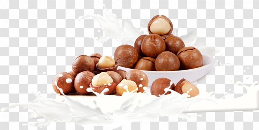 Macadamia Milk Mozartkugel Praline Chocolate Balls - Hawaii Fruit And Transparent PNG