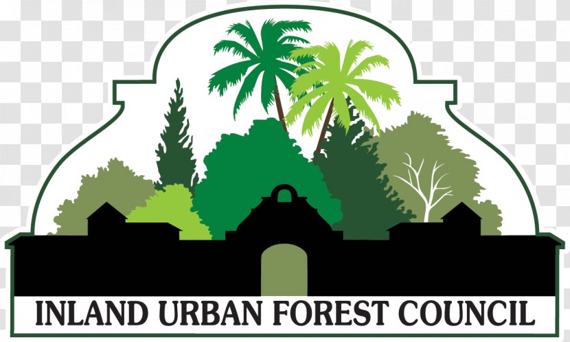 Urban Forest Tree Management Community Forestry - Plant - Treasurer Vector Transparent PNG