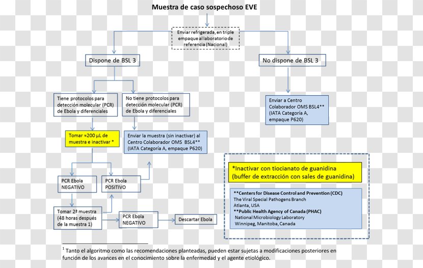 Laboratory Ebola Virus Disease Algorithm Sample Medical Diagnosis - Milk Flow Transparent PNG