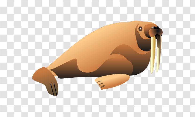 Walrus Clip Art Image Illustration - Walruses Transparent PNG