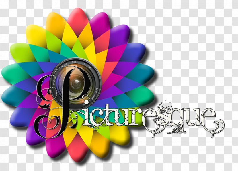 High-dynamic-range Imaging Camera Photography Color - Picturesque Transparent PNG