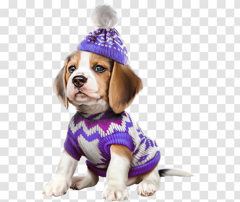 Beagle Cavalier King Charles Spaniel Bulldog Puppy Kitten - Bo - A Hat With Transparent PNG