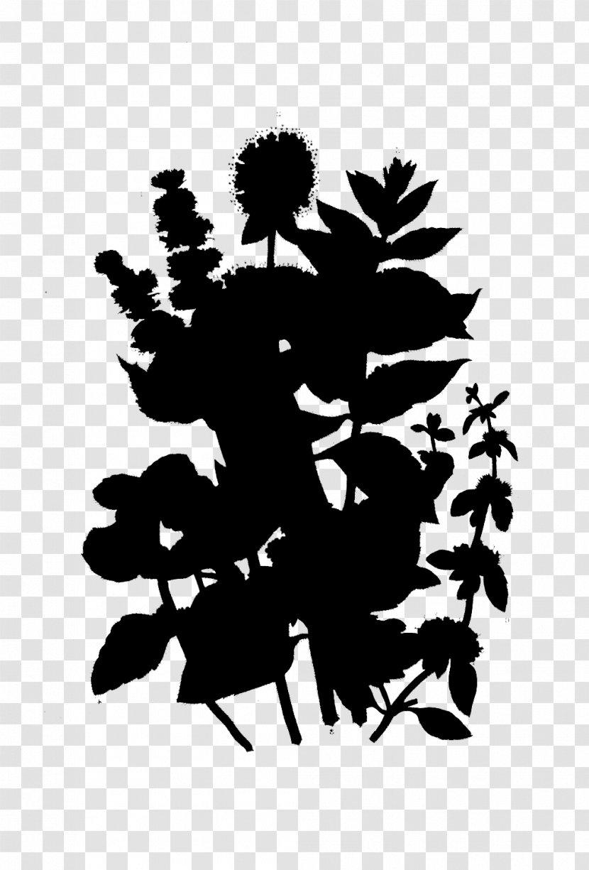 Flowering Plant Font Silhouette Leaf - Pine Family - Stencil Transparent PNG