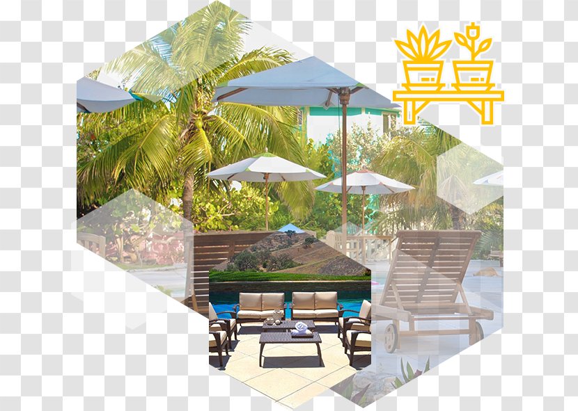 Hotel Bahamas Tourism Swimming Pools Recreation - Shade - Home Depot Tent Sale Transparent PNG