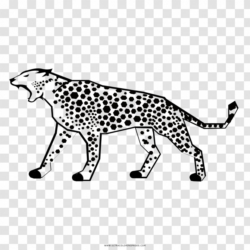 Cat Cheetah Jaguar Ocelot Tiger - Cougar Transparent PNG