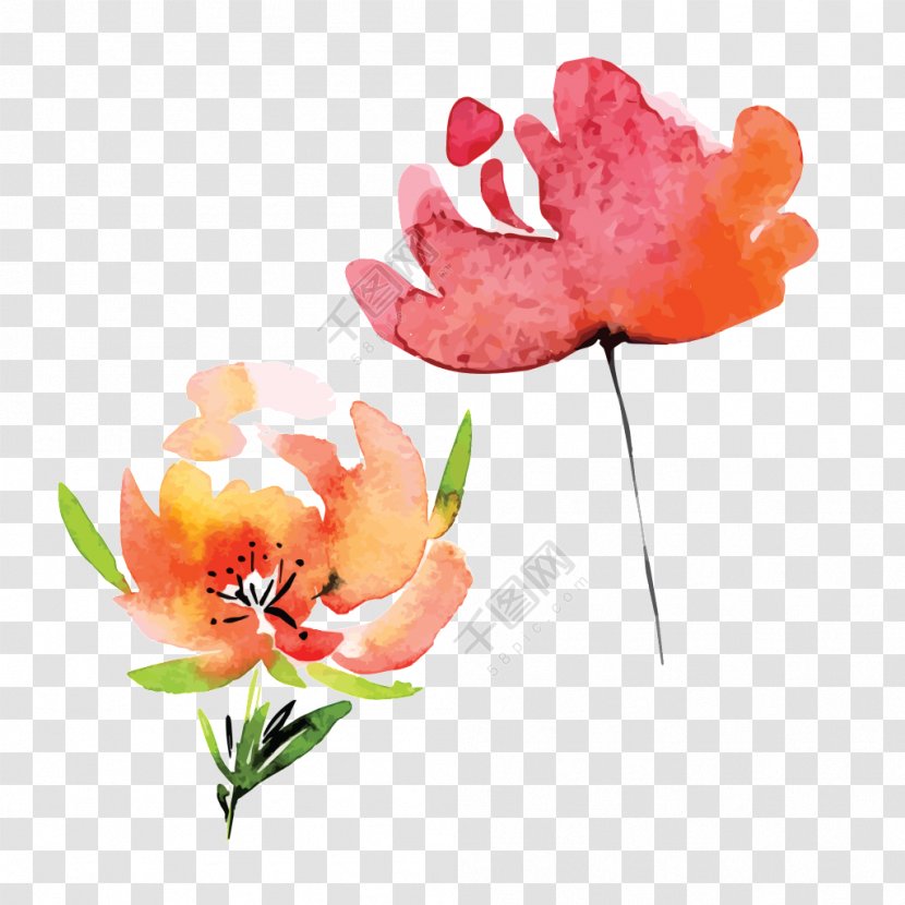Watercolor Painting Watercolor: Flowers Transparent Image - Cartoon - Advice Ornament Transparent PNG
