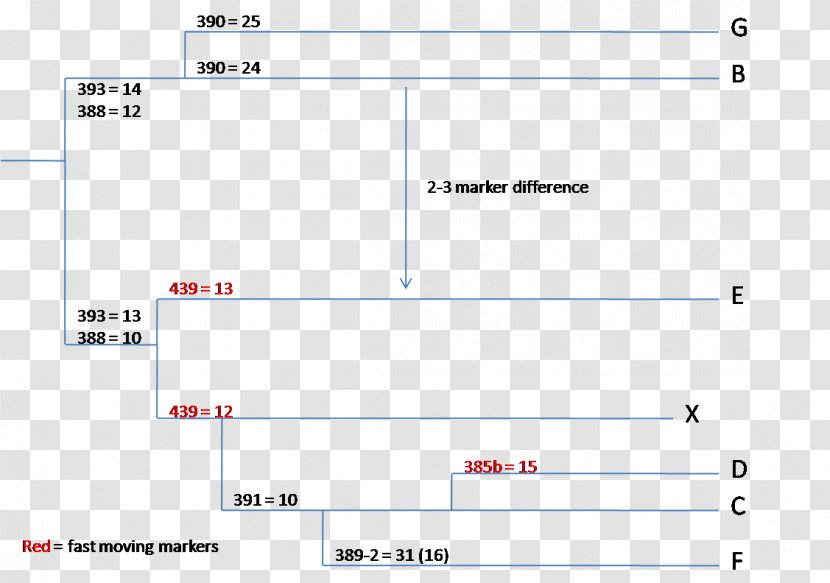 Line Point Angle Document - Parallel Transparent PNG