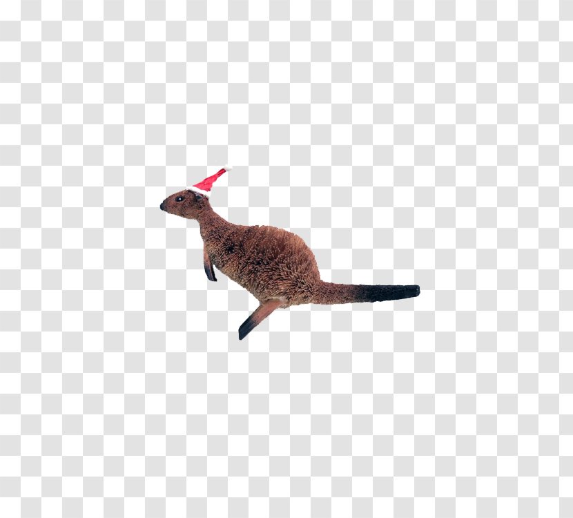 Macropodidae Animal Wildlife - Figure - Christmas Kangaroo Transparent PNG