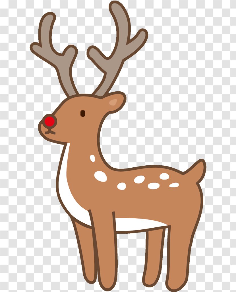 Reindeer - Antler - Tail Transparent PNG