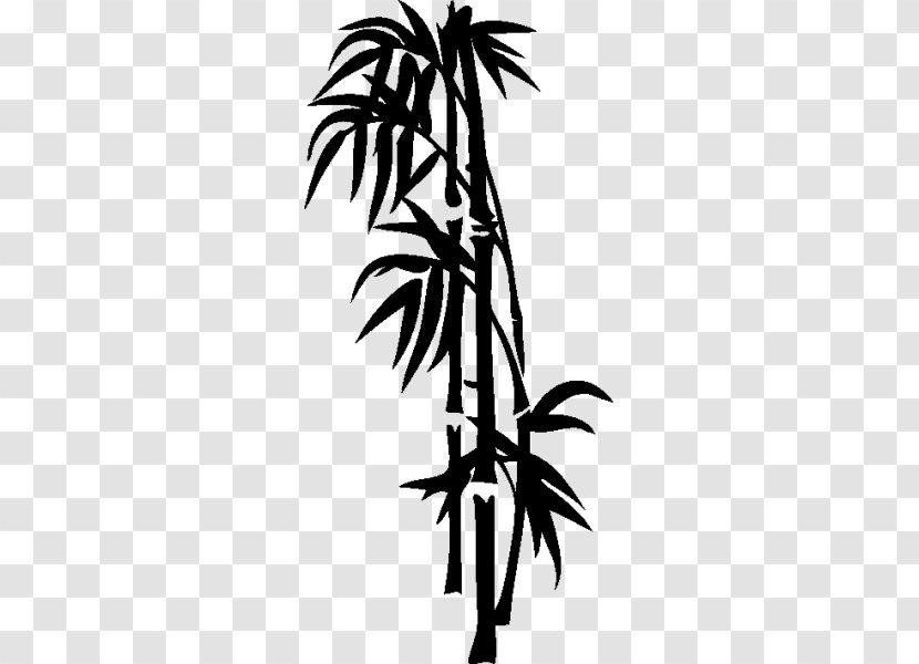 Arecaceae Twig Plant Stem Flowerpot Leaf - Flowering Transparent PNG