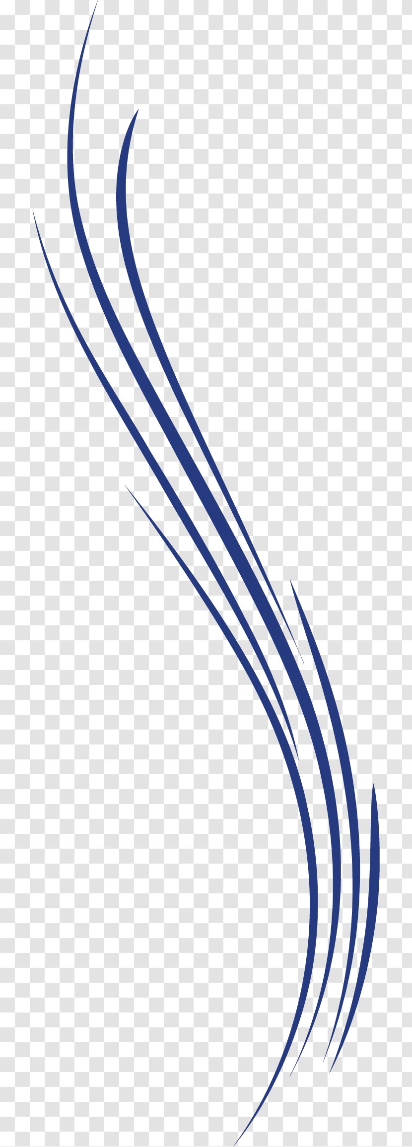 Curve Line Euclidean Vector - Blue Transparent PNG