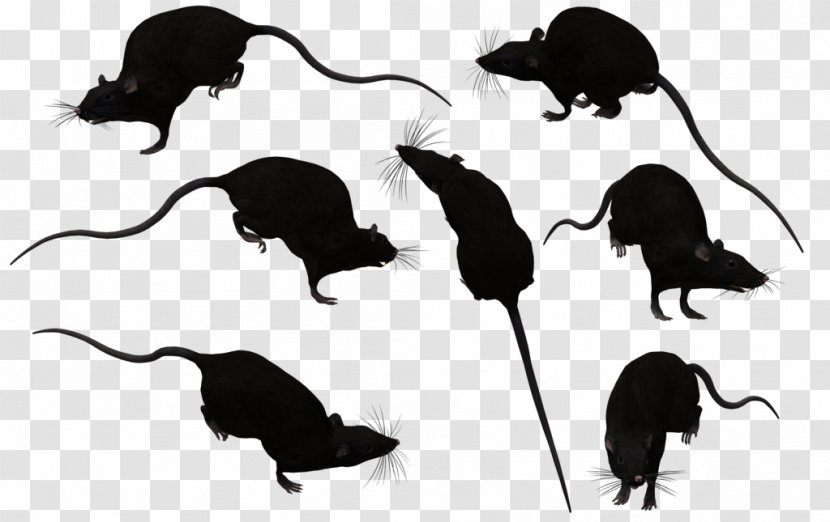 Brown Rat Mouse Black Clip Art - Silhouette Transparent PNG