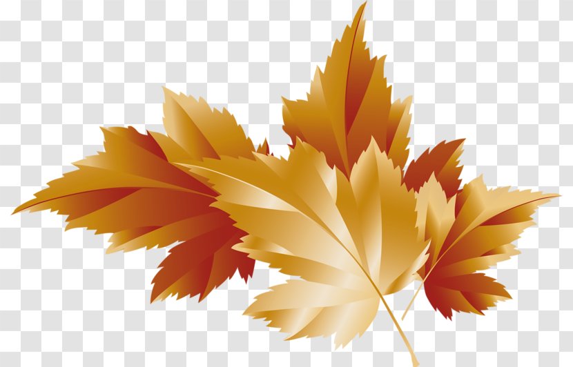 Autumn Leaf Color Clip Art - Flower Transparent PNG