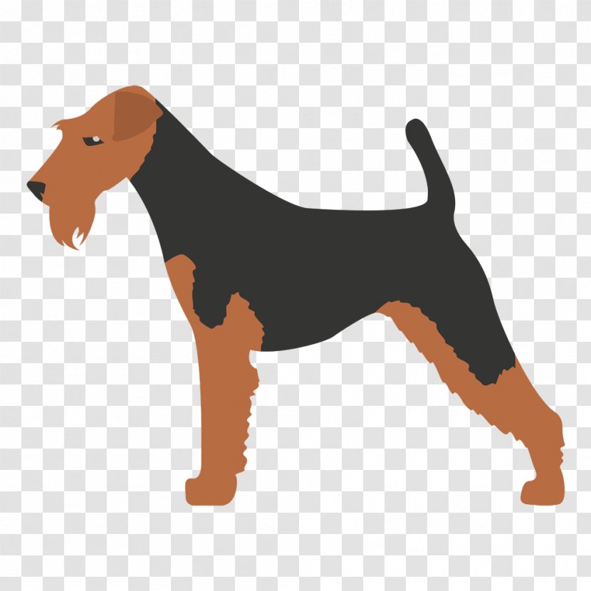 Bedlington Terrier Staffordshire Bull Kerry Blue - Dog Like Mammal - Husky Siberiano Transparent PNG