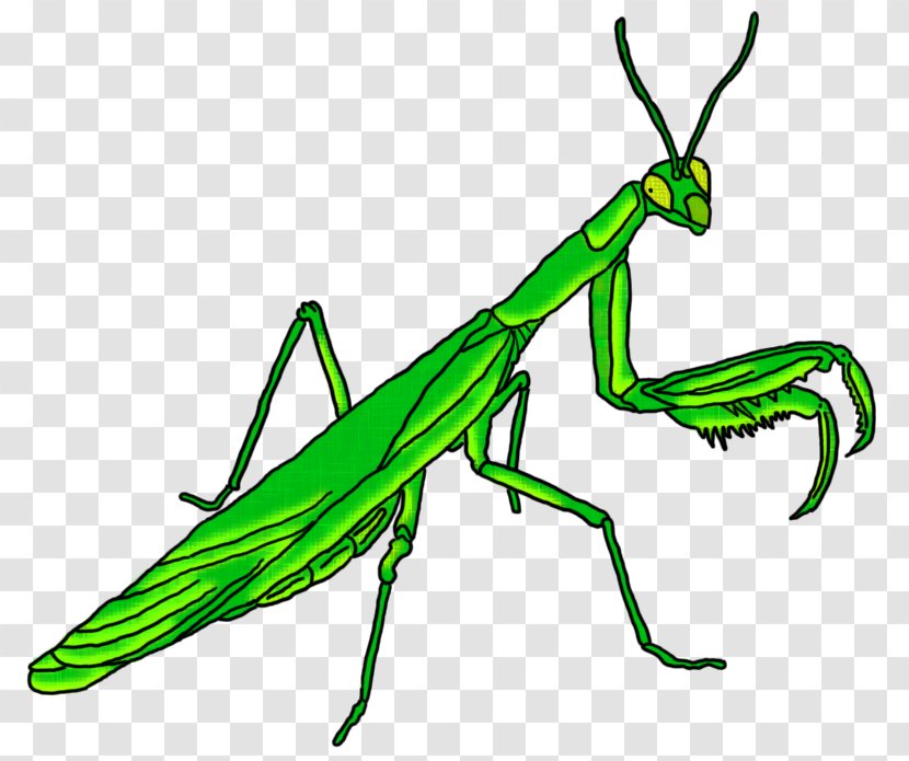 15 March Ghoul Insect Clip Art Transparent PNG