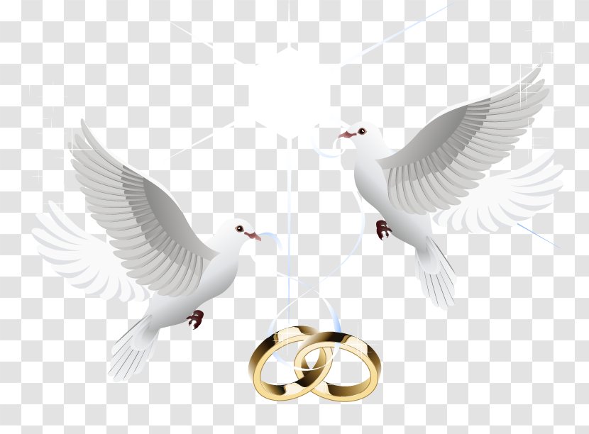 Wedding Ring Marriage - Vector Transparent PNG