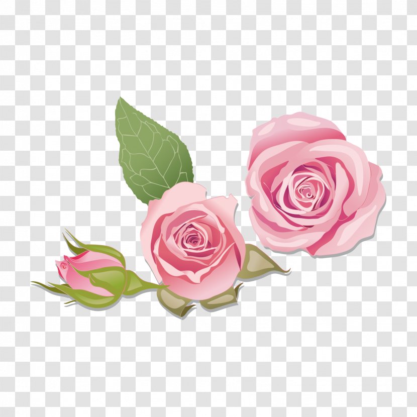 Vector Graphics Rose Image Illustration - Plant Transparent PNG