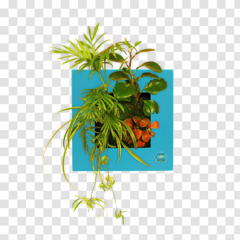 Arecaceae Flowerpot Tree - Plant Transparent PNG