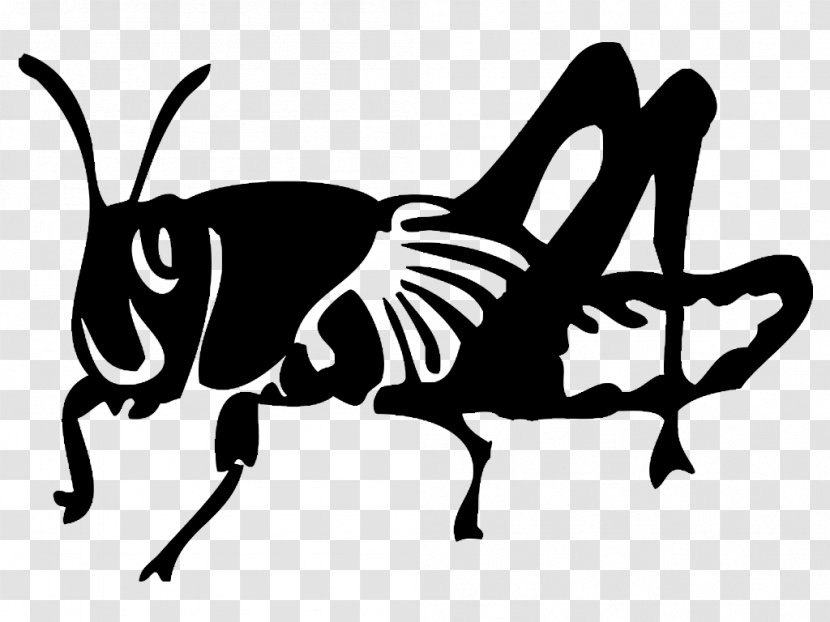 Insect Black Locust Silhouette Public Relations - Monochrome Photography Transparent PNG