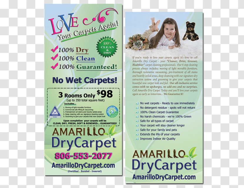 Rack Card Advertising Carpet Cleaning Printing - Hair Coloring - Clean Transparent PNG