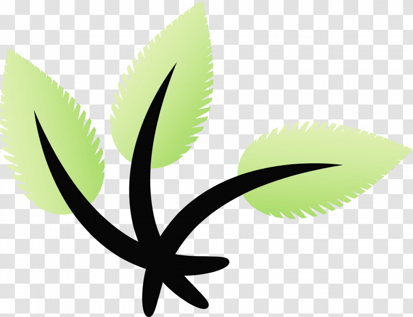 Leaf Plant Stem M-tree Meter Tree Transparent PNG