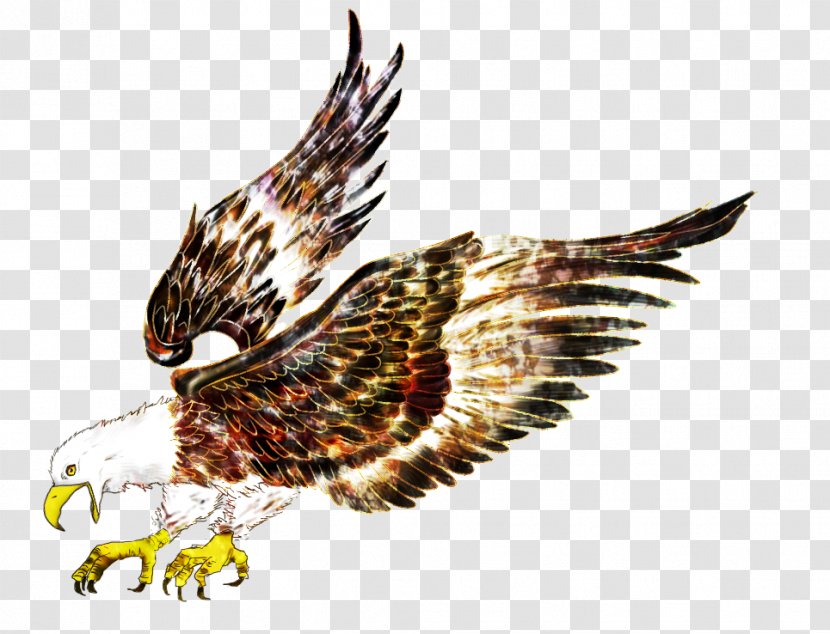 Eagle Bird Hawk Flight - Of Prey - Cartoon Pattern Transparent PNG