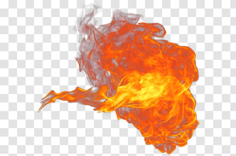 Flame Organism Transparent PNG