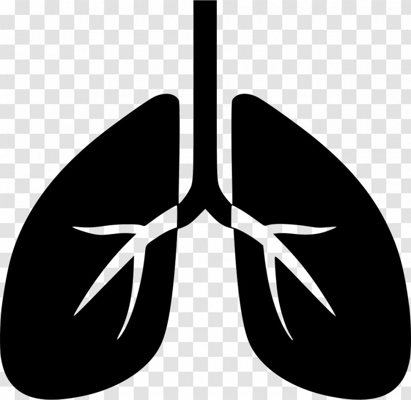 Lung Breathing Pulmonology Child - Human Body Transparent PNG