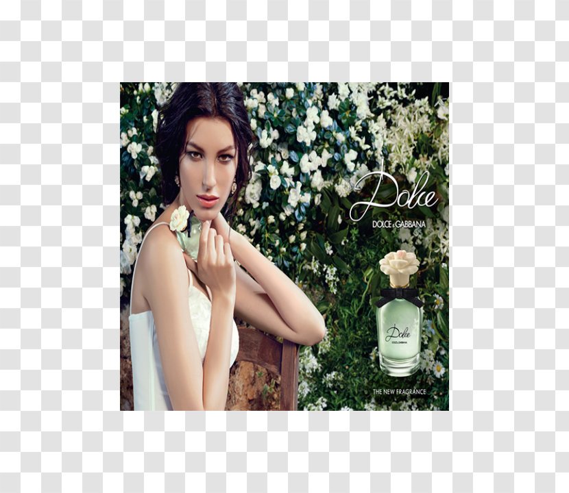 Perfume Dolce & Gabbana Aroma Eau De Toilette Fashion - Photo Shoot Transparent PNG