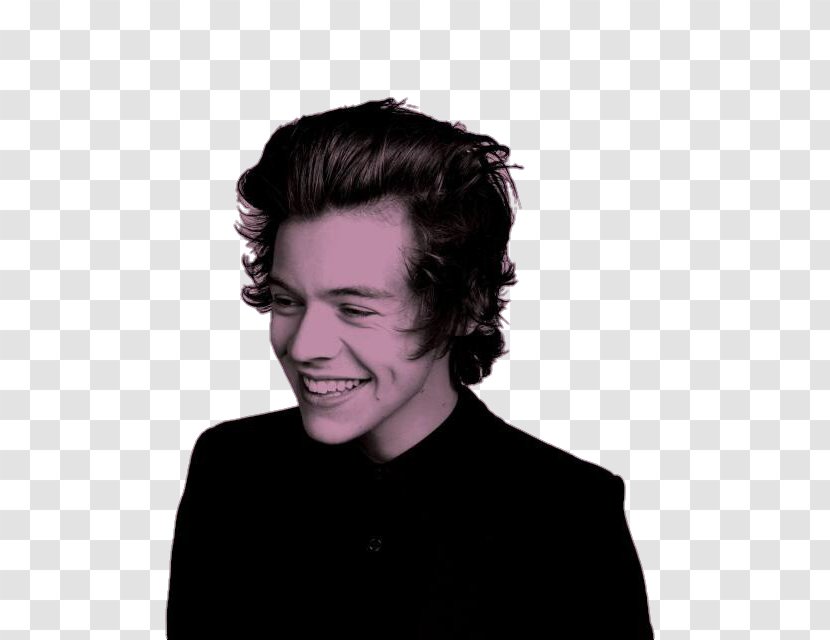 Harry Styles One Direction Potter And The Philosopher's Stone Where We Are Tour - Tree Transparent PNG