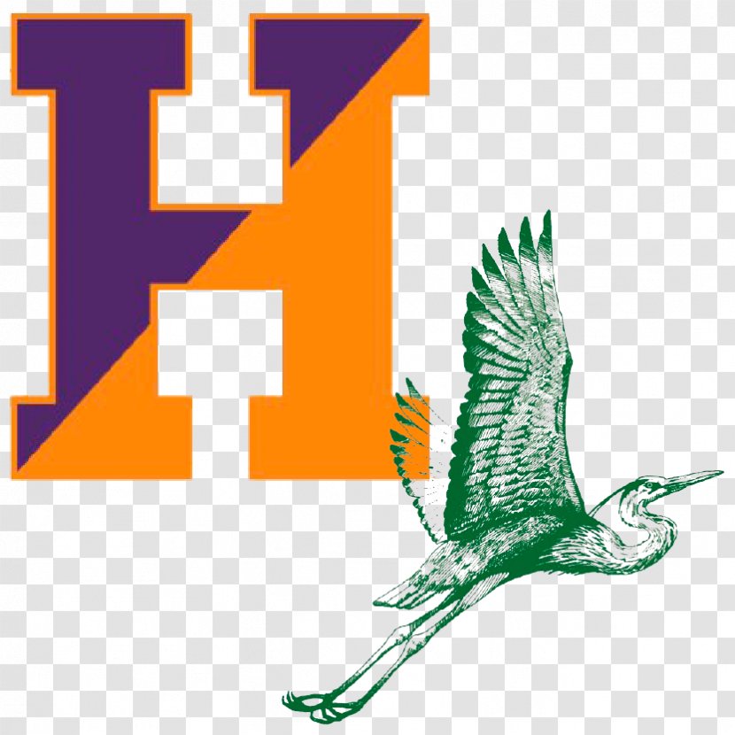 Hobart And William Smith Colleges College Statesmen Men's Basketball Football - Artwork - School Transparent PNG