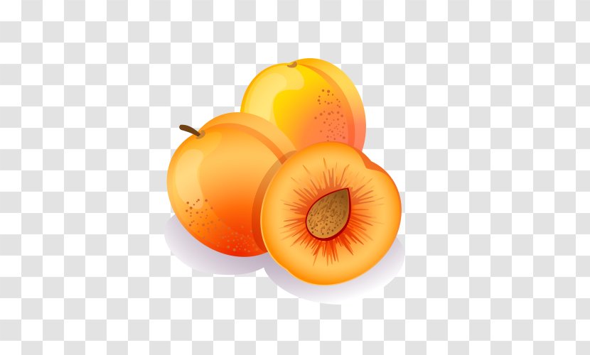 Euclidean Vector Peach Photography Illustration - Delicious Peaches Transparent PNG