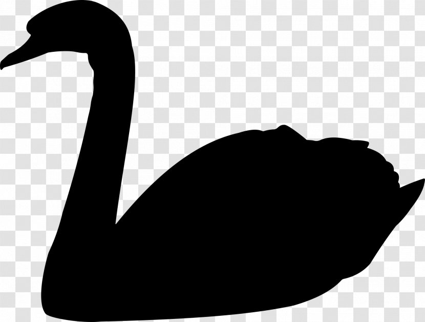 The Black Swan: Impact Of Highly Improbable Goose Trumpeter Swan Clip Art - Silhouette - Water Bird Transparent PNG