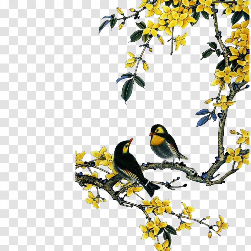 Bird-and-flower Painting Chinese Gongbi - Wash - Clipart Transparent PNG