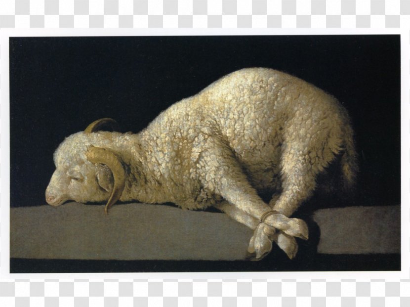 Agnus Dei Museo Nacional Del Prado Lamb Of God Painting Saint Jacopo Della Marca - Art Transparent PNG