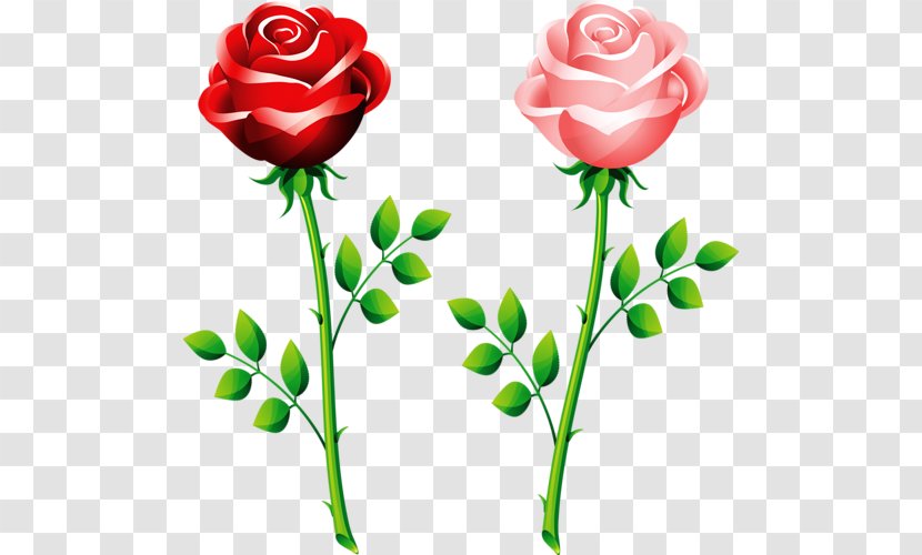 Rose Clip Art - Floral Design Transparent PNG