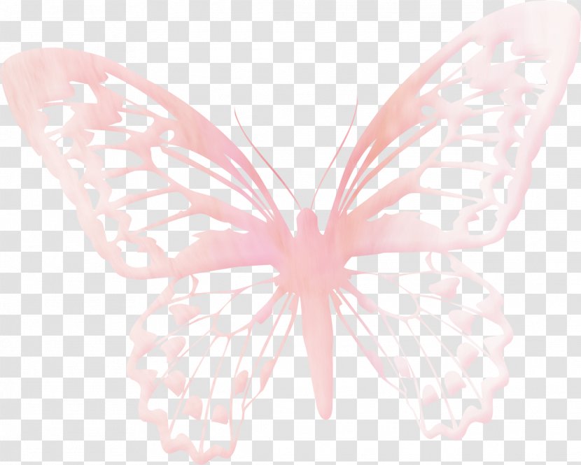 Butterfly Insect Ouvrage Embroidery Lace - Ribbon - Pink Transparent PNG