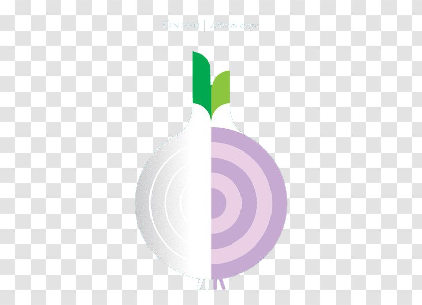 Onion Flat Design - Leek Transparent PNG