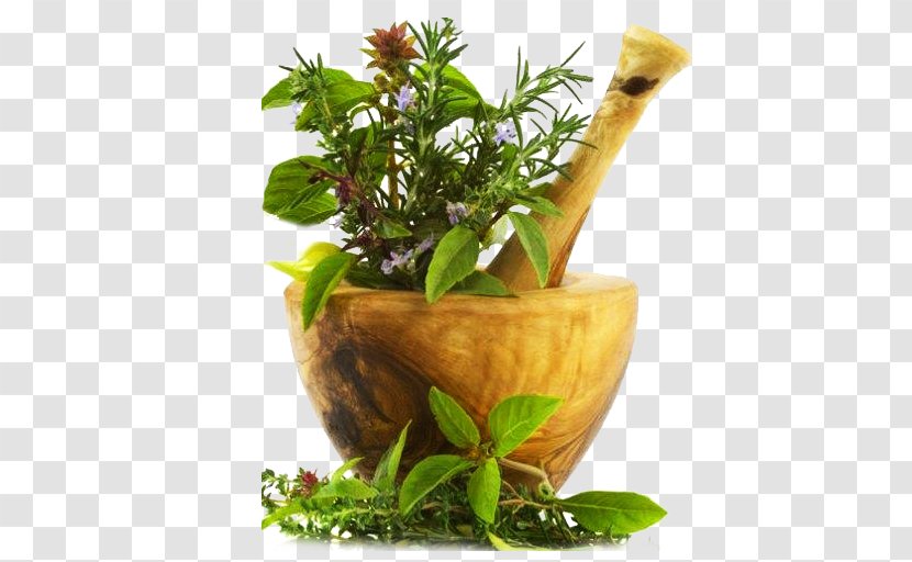 Thaibah Residency Kottakkal Ayurveda Indian Bdellium-tree Medicine Pharmacy - Health Care Transparent PNG