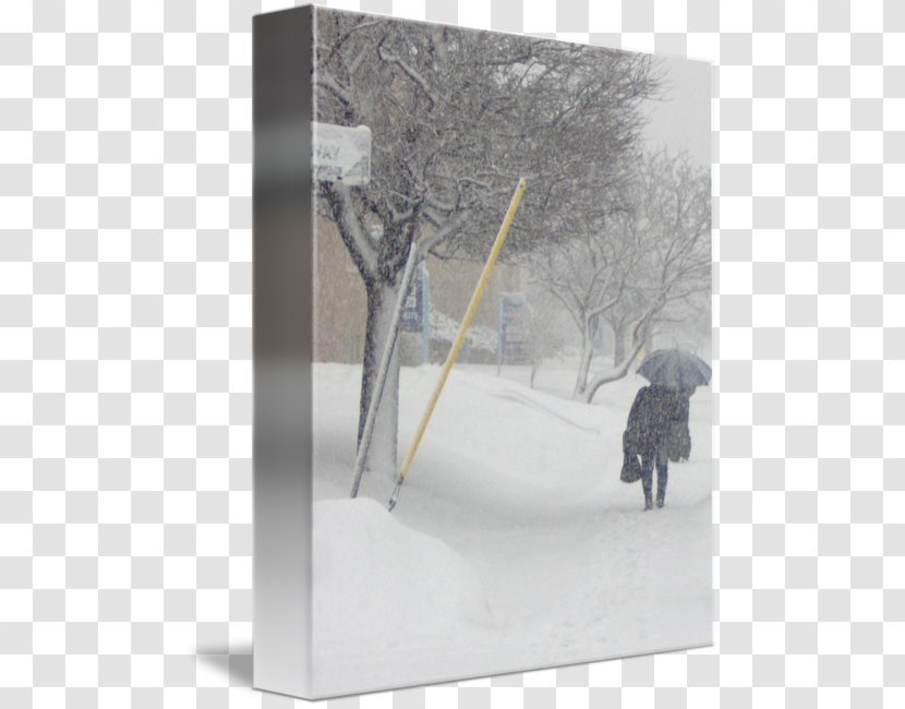 Product Design Snow Tree - Storm Transparent PNG