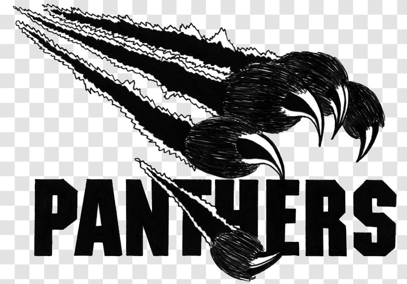 Logo Thonon Black Panthers American Football Carolina - Spoiler Outline Transparent PNG